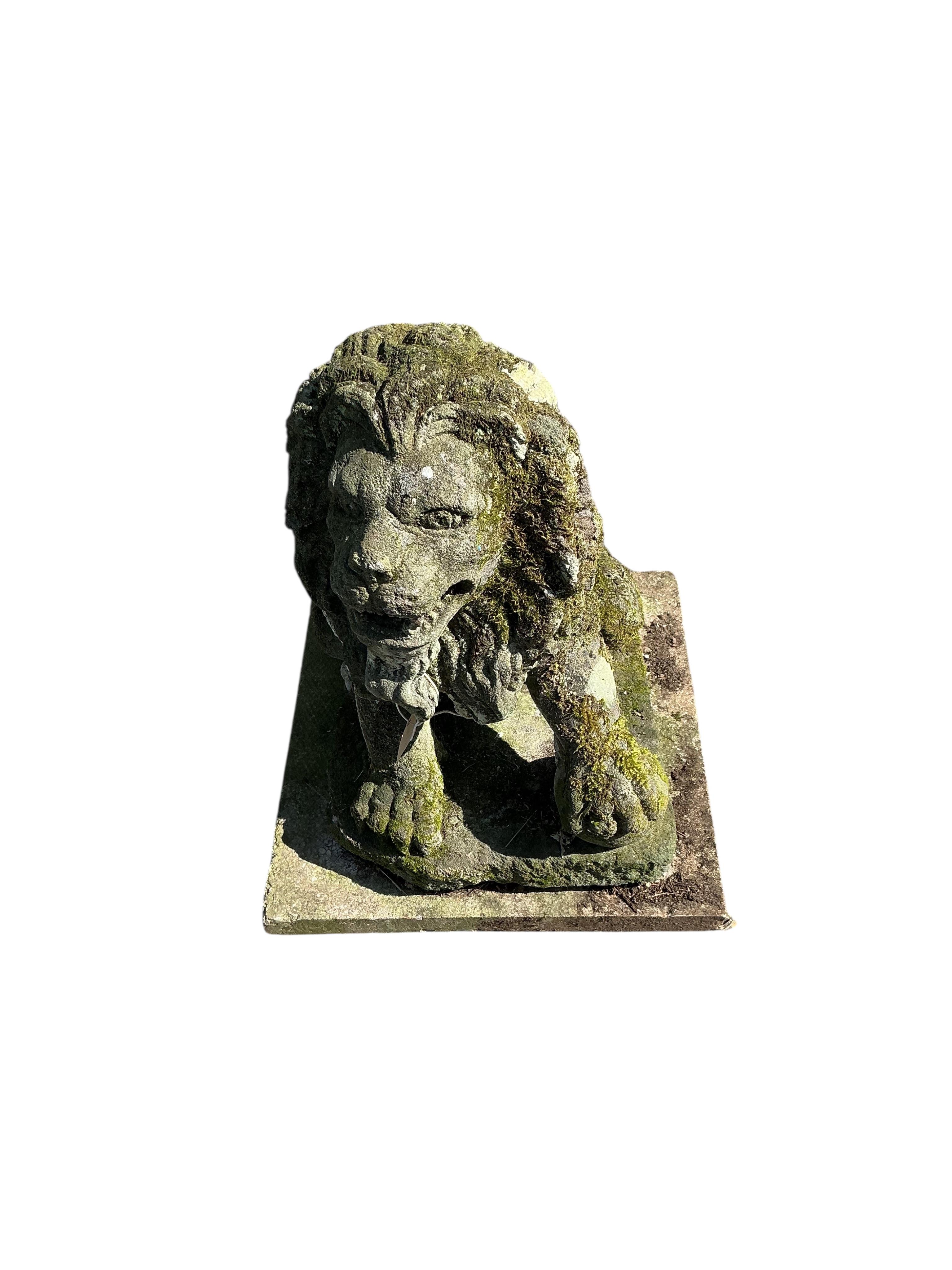 A reconstituted stone seated lion garden ornament, height 60cm